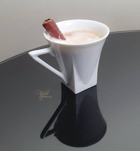 recettes slovènes chocolat chaud slovène