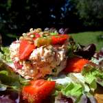 Timbale de saumon aux fraises 0