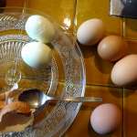 Curry oeufs et crevettes 5