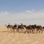 Tchad caravane