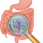 anatomy-160524_1280