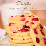 Couverture E-Book Biscuits 146×222