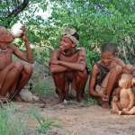 bushman-509239_1920