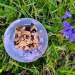 Cookie magique 12