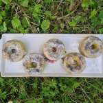 Donut citron pavot céto 8