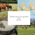 semoule-de-blé-pdf