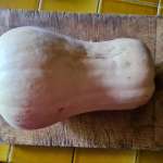 Sauce butternut au miso 1