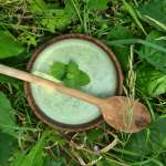 Soupe d&rsquo;orties à l&rsquo;ancienne 0011
