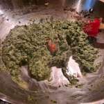 Callaloo 13