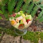 Ceviche de Belize 0