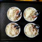 Gratin de crabe chilien 11