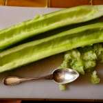 Salade de concombre de Chine 2