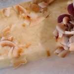 Fudge noix de coco et gingembre 6