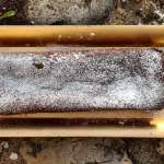 Cake bellevue 0028