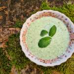 Soupe froide finlandaise 0