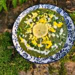 Velouté d&rsquo;épinards et oseille 0012