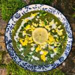 Velouté d&rsquo;épinards et oseille