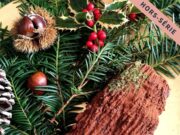 Livre : 12 menus cétogènes pour Noël