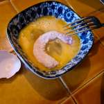 Crevettes panées à la noix de coco 0004