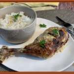 Timor Oriental Delphine