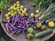 Les anti-nutriments (santé et légumes)