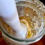 Mayonnaise carnivore 0009