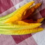 Gratin de fleurs de courgette 0002