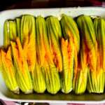 Gratin de fleurs de courgette 0011
