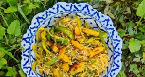 Nouilles sautées au poulet et légumes