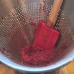 Amandier au coulis de framboise 0004