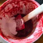 Amandier au coulis de framboise 0005
