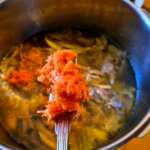 Soupe de poule, chou et carotte 0006