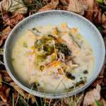 Soupe de poule, chou et carotte 0018