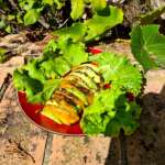 Butternut et avocat 0