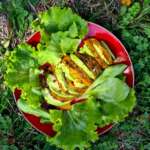 Butternut et avocat 0017