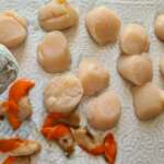 Coquilles Saint-Jacques aux poireaux 0008