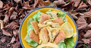 Poule sauce cheddar aux crackers