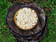 Salade de riz carnivore