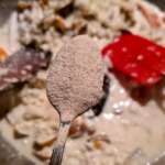 Risotto de fruits de mer 7