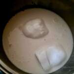 Yaourt à la noix de coco 0005