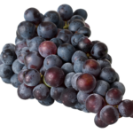 grapes-gb3a10d5f1_1920