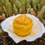 Muffins de base sans sucre