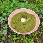 Purée d&rsquo;épinards 0