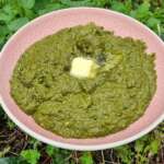 Purée d&rsquo;épinards 0013