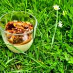 Panna cotta vanille caramel et crumble 0