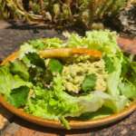 Arepas poulet avocat 0025