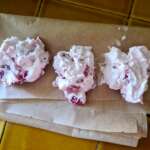 Bouchées glacées fraises chocolat 0004