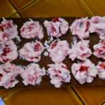 Bouchées glacées fraises chocolat 0005
