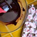 Bouchées glacées fraises chocolat 0008