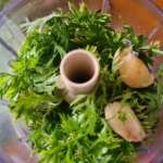Pesto de fanes de carottes aux noix 0002